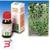 SPECCHIASOL SRL ACHILLEA 51 TINTURA MADRE 50 ML