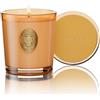 M&SENSE Candela Profumata 260g Basilico e Zenzero, 55H Dura, Cera di Soia Non Tossiche Candele, Vetro Autunnali Decor Casa, Regalo di Lusso per Donne/Compleanni/Natale