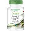 fairvital Estratto di foglie di olivo 500 mg, 90 capsule, ALTO DOSAGGIO con il 20% di oleuropeina, VEGANO, Olea europaea