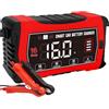 HTRC LiFePO4 - Caricabatteria da auto da 16 A, 6 V/12 V/24 V, con display LCD, compensazione della temperatura, modalità di riparazione per batterie auto, auto, barche
