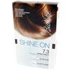 ICIM INTERNATIONAL SPA (BIONIKE) Bionike Shine on trattamento colorante capelli biondo dorato 7. 3