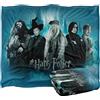 LOGOVISION Coperta super morbida al tatto HARRY POTTER, 152 x 127 cm