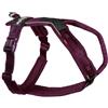 Non-stop dogwear NonStop Dogwear Line Harness 5.0, viola (5)