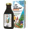 Salus Haus Floradix-Kindervital Fruity Formula per Bambini e Ragazzi, 250ml