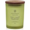 Yankee Candle Awaken & Invigorate - Candela Citronella e Eucalipto Media, 250g