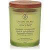 Yankee Candle Awaken & Invigorate - Candela Citronella e Eucalipto Piccola, 96g