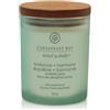 Yankee Candle Balance & Harmony - Candela Profumata Ninfea e Pera Piccola, 96g