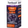 NAMED Srl SAMBUCOL LIQUIDO DA BERE 120 ML