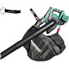 HEADNMORE Bundle - Parkside 40 V batteria aspiratore fogliame PLSA 40-Li D3 (senza batteria) + portachiavi