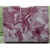 Bandai MG 1/100 ZGMF-1017GR GINN GLADIATOR Model Kit Premium BANDAI Limited