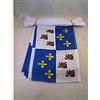 AZ FLAG Ghirlanda 6 Metri 20 Bandiere Piccardia 21x15cm, Bandiera Picardie In Francia 15 x 21 cm - Festone Bandierine