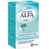 DOMPE' FARMACEUTICI SpA ALFA COLLIRIO IDRAT 10ML