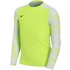 Nike Y Dry Park IV GK Magliette Magliette per Bambini, Unisex Bambini, Volt/White/Black, L