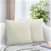 ACUSHLA Set di 2 federe per cuscini soffici, 45 x 45 cm, in morbida pelliccia sintetica, lussuose, decorative, moderne, a pelo lungo, per decorare la casa, divano, soggiorno, letto, sedia (bianco)