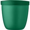 Mepal - Snackpot Ellipse - Pratico contenitore per conservare e trasportare gli alimenti - Adatto al congelatore - Lavabile in lavastoviglie - 500 ml - Vivid Green