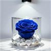 Premium-rose.com Box Tondo con Rosa Stabilizzata Blu e Marmo di Carrara, Idea Regalo Unica e Raffinata, Idea Regalo per lei, Natale, Cubo Rosa Blu, Fatta in Italia (Blu 1091)