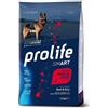 Prolife Smart Manzo e Riso Medium Large 12kg Nutrigenomic crocchette cane