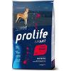 Prolife Smart Manzo e Riso Giant 12kg Nutrigenomic crocchette cane