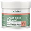 AniForte Omega 3 & 6 capsule di olio di salmone per cani 500 capsule - prodotto naturale con olio di salmone, integratore, supporta il metabolismo, la formazione delle ossa e un pelo lucido