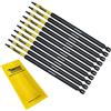 SabreCut SCTP15152_10 152 mm T15 TX15 Torx a prova di manomissione di sicurezza magnetica avvitatore Set di 10 punte resistenti compatibili con Dewalt Milwaukee Bosch Makita e altri