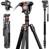 JOILCAN Treppiede video con testa di trascinamento fluido a 360°, treppiede resistente per fotocamera da 72 pollici con smorzamento dell'attrito liscio, monopiedi in alluminio per fotocamera Canon