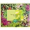 ACORUS set di alle erbe tisane Premium | Set da tè | 6 sapori di destinazioni diverse | Set tè regalo | Scatola di selezione grande | 60 bustine di tè
