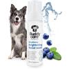 Buddycare Blueberry Detergente viso per cani (200 ml) Idratante antiossidante per la pelle secca del cane, formula detergente delicata per un mantello fresco e nutrito