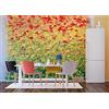 AG Design FTNS 1261 Photo Wall Mural, Non Lana, Multicolore, 360 x 270