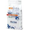 Monge Vetsolution Renal & Oxalate Canine 12Kg