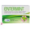 LAERBIUM PHARMA SRL ENTERMINT 30 CAPSULE