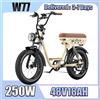 E Bike 250W Motore 48V18AH Batteria Freni idraulici anteriori e posteriori Bicicletta elettrica 20 pollici Fat Fetus All Terrain Bici elettrica - Khaki
