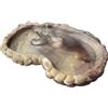 Creas water-food medium cm 23,5x17x2,2h