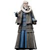 Star Wars Hasbro The Black Series, Bib Fortuna, Action Figure collezionabile per Adulti da 15 cm per Il 40° Anniversario del Film Ritorno dello Jedi, dai 4 Anni in su