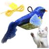 Generico Bird Cat Gat Cinguettamento, cinguettio giocattolo per gatto per uccelli - Giocattoli da teaser per i gatti - Dispositivo di gioco per animali domestici per alleviare lo stress, strumenti da masticare
