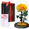 Touloube Festa della Mamma Rosa Stabilizzata Vera Regalo Donna in Cupola Vetro - Regalo di San Valentino, Donna Regalo Compleanno, Rosa Eterna Idee Regalo Mamma Moglie Fidanzata Nonna, per Anniversario