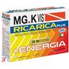 POOL PHARMA SRL MGK VIS RICARICA PLUS 14 BUSTINE