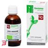 FITOMEDICAL SRL VITE VERGINE MACERATO GLICERICO 50 ML BIO