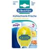 Dr. Beckmann Frigo Fresh Limone | Assorbe gli odori, protegge gli aromi, con estratto di limone naturale e alcool biologico, (40 g)