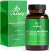 Vitabay Spermidina 6 mg ad alto dosaggio - 120 capsule vegane con estratto di germe di grano fermentato - produzione naturale - testata in laboratorio in Germania & senza additivi - scorta 4 mesi
