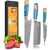 oFuun Set di coltelli da cucina damascato, coltello professionale, 3 pezzi, coltello da cucina, coltello da chef, coltello giapponese, in acciaio damascato, 67 strati, con manico ergonomico