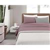 IlGruppone Completo Lenzuola Invernali Bicolore Set Biancheria da Letto Anti Pilling in Calda Flanella sopra,sotto con Angoli Elasticizzati E Federe Felpate - Rosa-Grigio - Una Piazza e Mezza