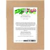 Magic Garden Seeds Erbe di gatto - Set di semi con 3 varietà di piante che piacciono ai gatti