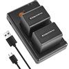DSTE 2PCS NP-FV70 (2600mAh/7.4V) Batteria & Caricatore Compatibile per Sony DCR-SR21, DCR-SR68, DCR-SR88, DCR-SX15, DCR-SX21, DCR-SX45, DCR-SX63, DCR-SX65, DCR-SX85