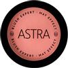 ASTRA Make-UP Blush Expert - Vellutato Mat Tonalità 2 1 pz Make up