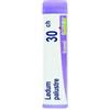 Boiron Ledum Palustre 30ch 80 Granuli 4 g Contenitore Multidose