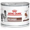 ROYAL CANIN CANE E GATTO DIET RECOVERY DA 195 GR IN LATTINA 195G