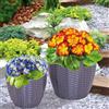 BAKAJI Set 2 CASPO' Vasi Portapiante Intreccio in Polyrattan per Esterno Colore Grigio