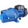 BAKAJI Elettropompa Autodescante Autoclave Periferica 1HP 750W Pompa Girante Acciaio