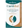 ERBA VITA Cartidol 45 Compresse integratore alimentare a base di Glucosamina, MSM, Condroitin solfato, Collagene idrolizzato di tipo II e Acido ialuronico