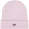 DICKIES GIBSLAND BEANIE Berretto Unisex